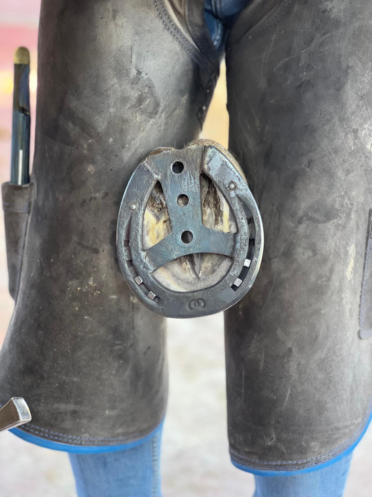 Corrección de problemas de aplomo mejorando postura y equilibrio de los caballos provincia castellón