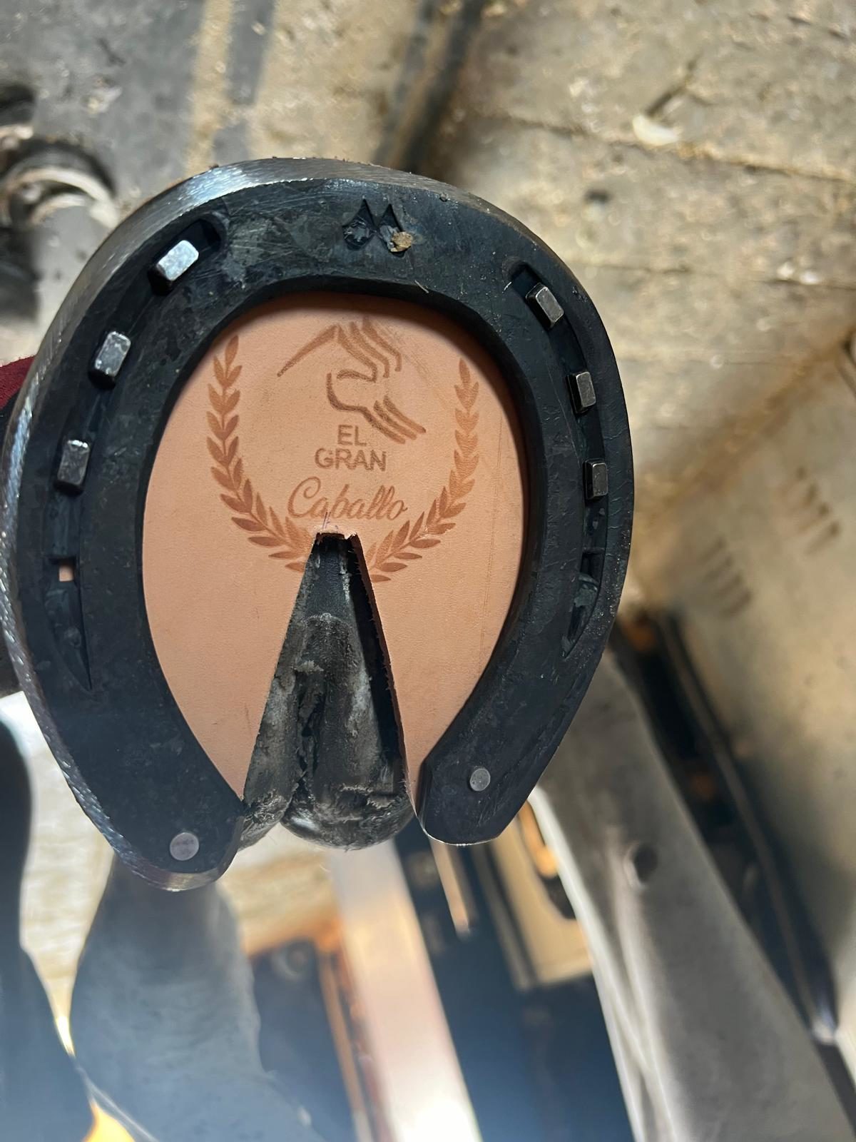 Herraje profesional para competición castellón