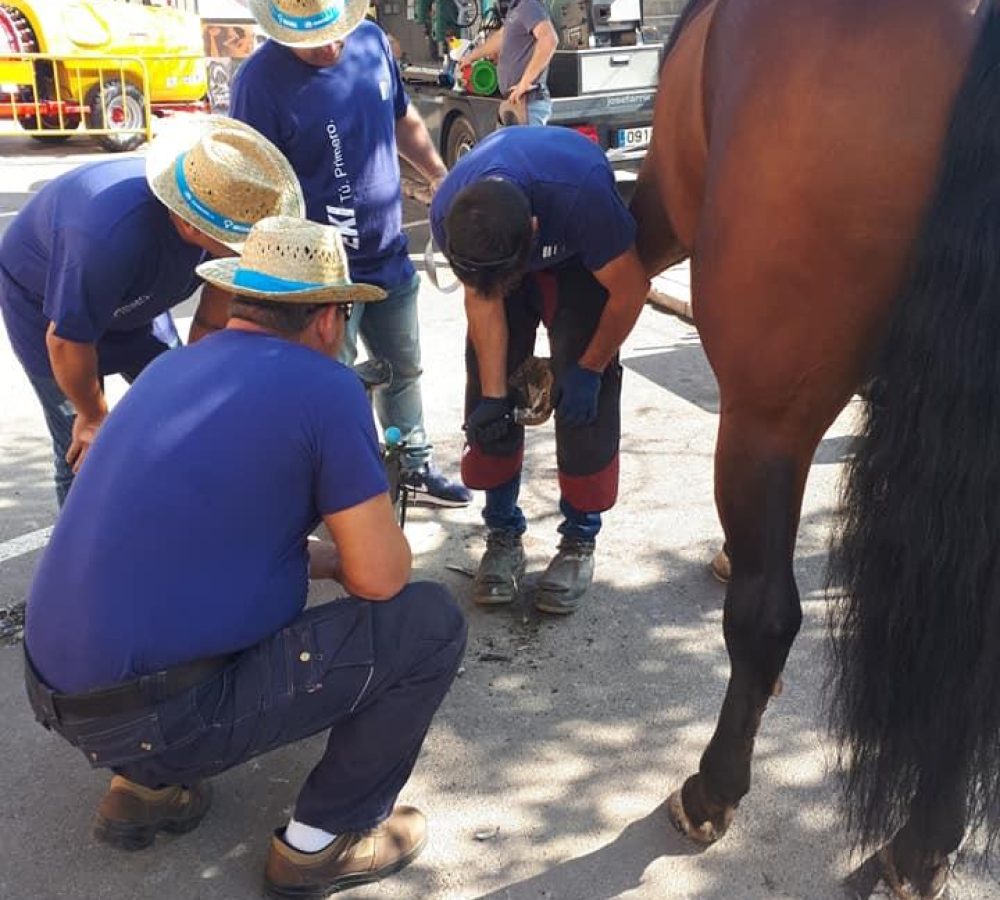 herraje deportivo castellón