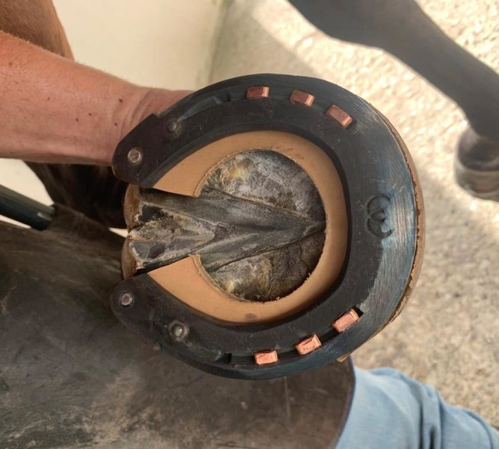 Mantenimiento preventivo de herraje castellón